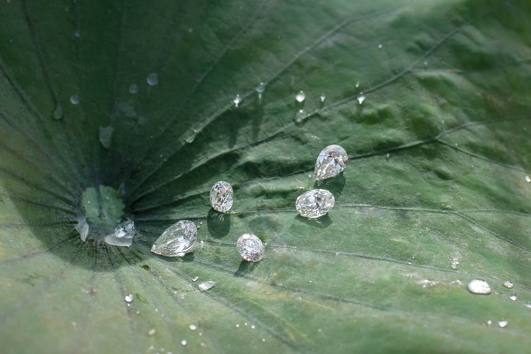 Lab Grown Diamonds