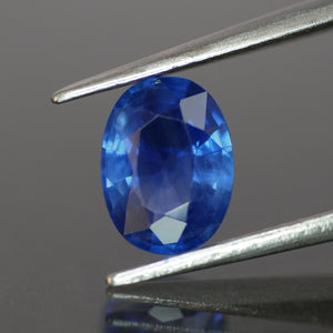 Blue Sapphire | natural, oval cut *8x6 mm, VS, *1.4ct - Eden Garden Jewelry™