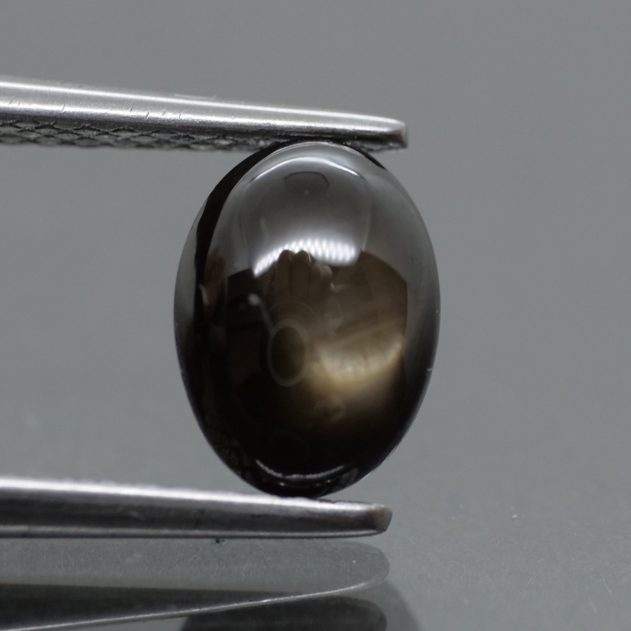 Sapphire | black, star effect, oval cut 7x5mm, 1.20ct - Eden Garden Jewelry™